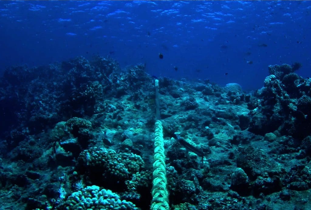 reef Landing Site & Dive Surveys