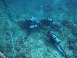 Divers Divers