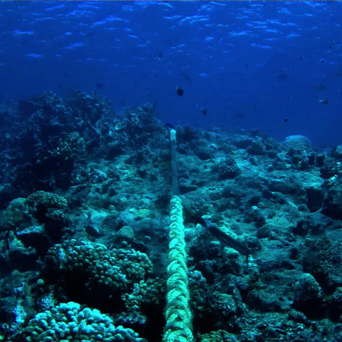 reef Landing Site & Dive Surveys